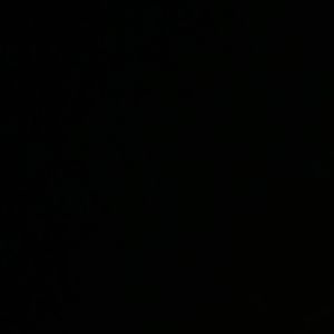 Meet your Posher, Carlos